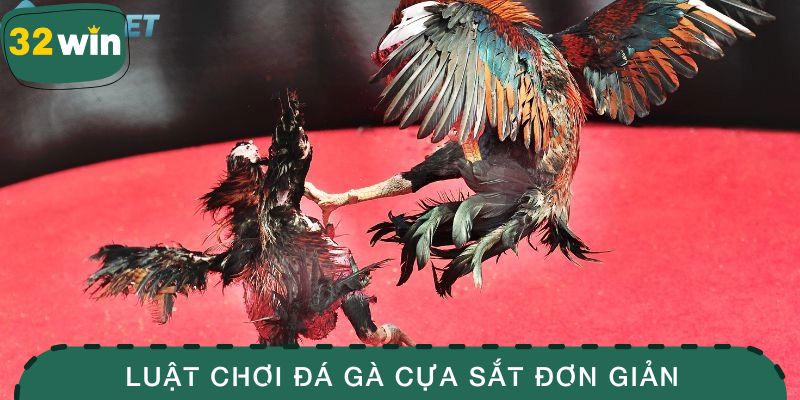 Luật chơi đá gà cựa sắt đơn giản